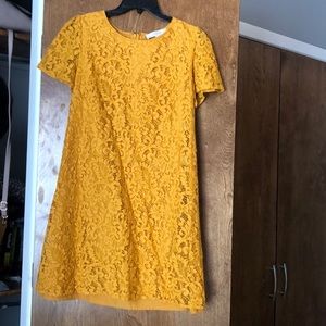 Loft Mustard Lace Dress